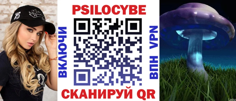 кракен маркетплейс  купить   Арск  Псилоцибиновые грибы GOLDEN TEACHER 